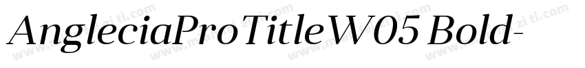 AngleciaProTitleW05 Bold字体转换
